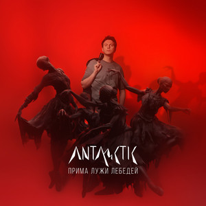 Antarctic - Прима Лужи Лебедей