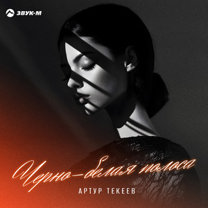 Артур Текеев - Чёрно Белая Полоса