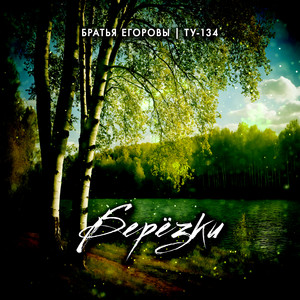 Братья Егоровы - Берёзки ft Ту-134