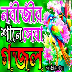 Ibrahim Khalil - Amar Mone Boro Asa Chilo Zaiteze Modinay