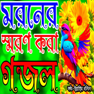 Ibrahim Khalil - Amar Moron Asibe Kokhon Keuto Janena