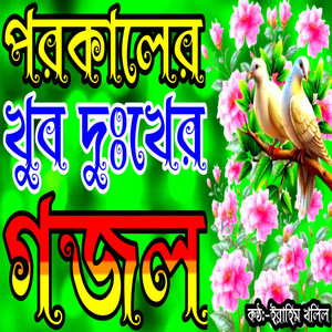Ibrahim Khalil - Amar Pran Pakhi Oriya Zeidin Zaibe Deho Chari