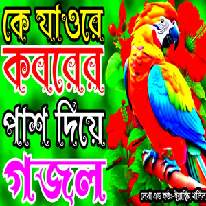 Ibrahim Khalil - Ke Jaure Amar Koborer Pash Diya