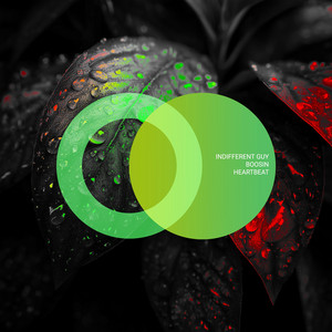 Indifferent Guy - Heartbeat ft Boosin