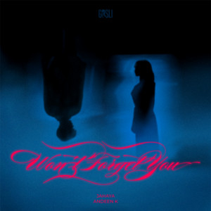 Jahaya - Won'T Forget You ft Andeen K
