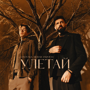 Lisovsky - Улетай ft Merab Amzoevi