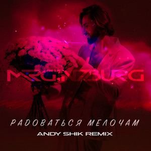 Mr.Ginzburg - Радоваться Мелочам Andy Shik Remix ft Andy Shik