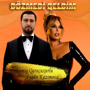 Namiq Qaraçuxurlu - Dedi Qodu ft Aygün Kazımova