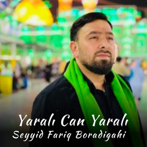 Seyyid Fariq Boradigahi - Yaralı Can Yaralı