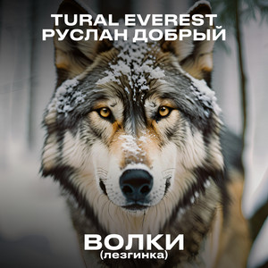 Tural Everest - Волки Лезгинка ft Руслан Добрый