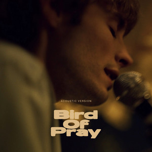 Ziferblat - Bird Of Pray Karaoke